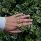 Sienna Signet Ring