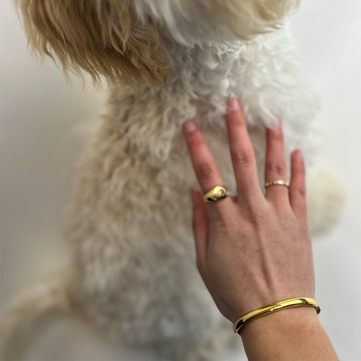 bangle armbånd guld on hand